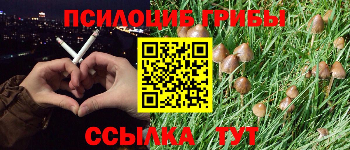 Галлюциногенные грибы Psilocybe  Вход с VPN  Верхняя Салда 